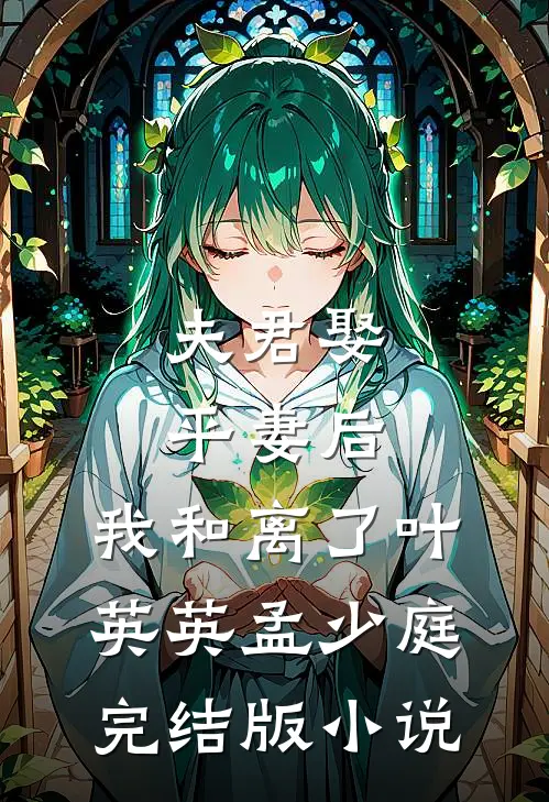 夫君娶平妻后，我和离了叶英英孟少庭完结版小说