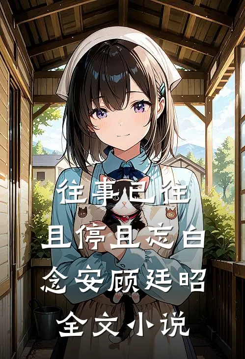 往事已往，且停且忘白念安顾廷昭全文小说
