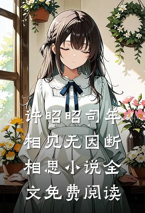 许昭昭司年相见无因断相思小说全文免费阅读