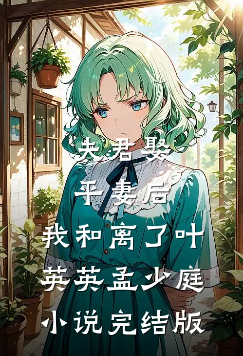 夫君娶平妻后，我和离了叶英英孟少庭小说完结版