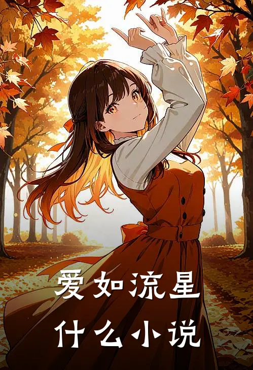 爱如流星什么小说