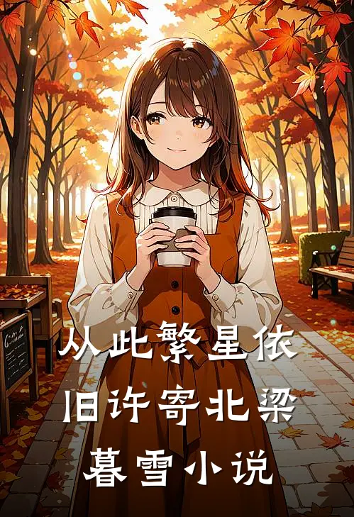 从此繁星依旧许寄北梁暮雪小说