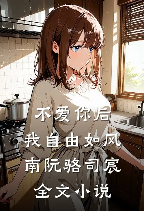 不爱你后，我自由如风南阮骆司宸全文小说