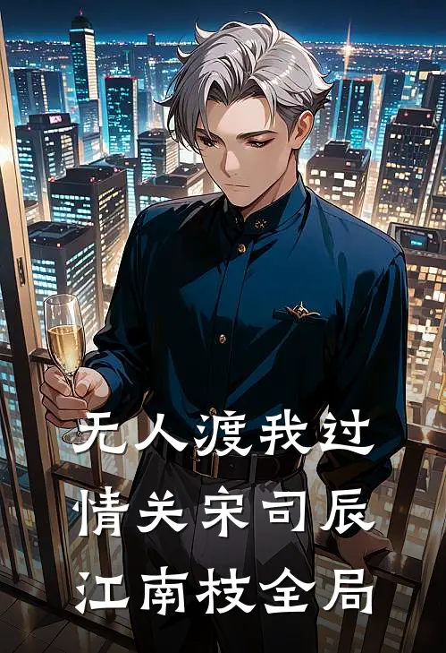 无人渡我过情关宋司辰江南枝全局