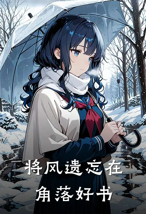 将风遗忘在角落好书