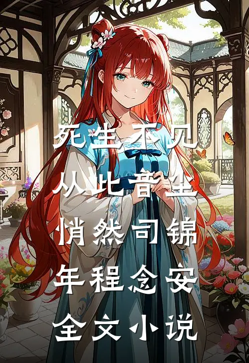 死生不见，从此音尘悄然司锦年程念安全文小说