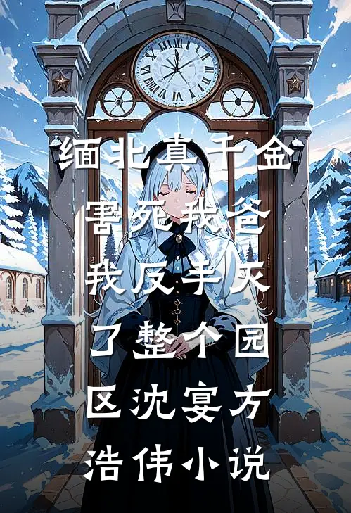 缅北真千金害死我爸，我反手灭了整个园区沈宴方浩伟小说