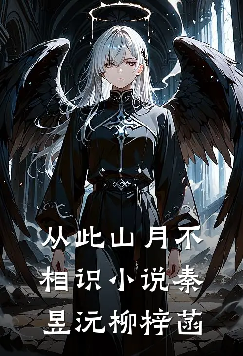 从此山月不相识小说秦昱沅柳梓菡