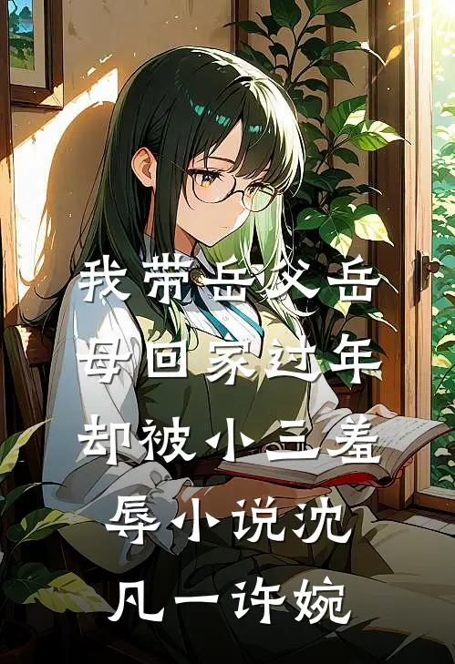 我带岳父岳母回家过年，却被小三羞辱小说沈凡一许婉