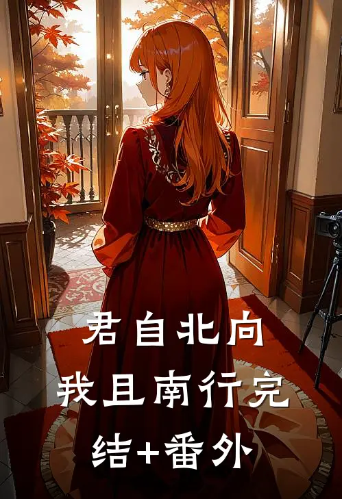 君自北向,我且南行完结+番外