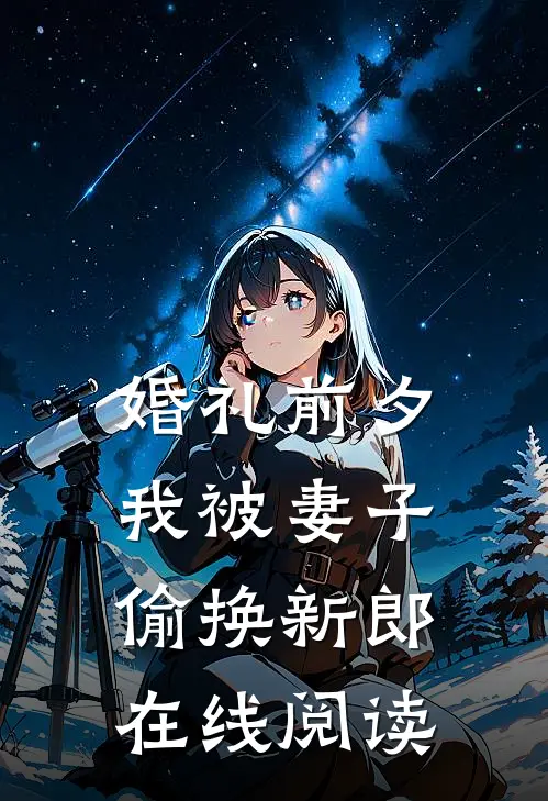 婚礼前夕，我被妻子偷换新郎在线阅读