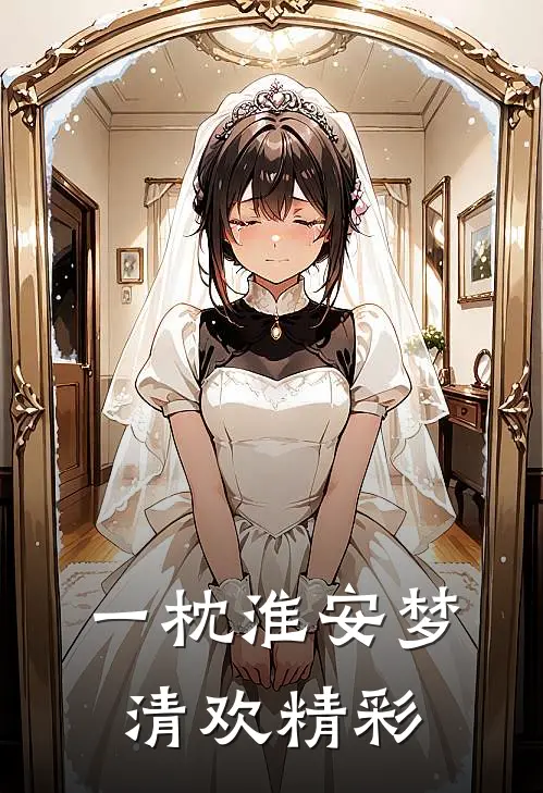 一枕淮安梦清欢精彩