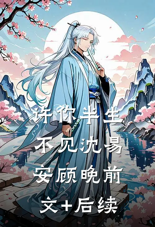 许你半生不见沈易安顾晚前文+后续