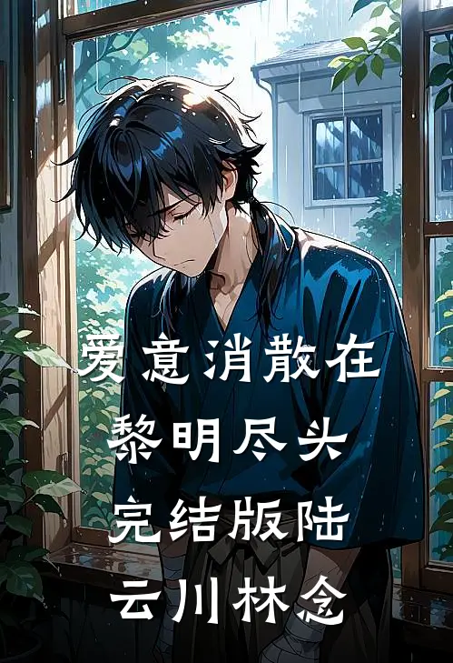 爱意消散在黎明尽头完结版陆云川林念
