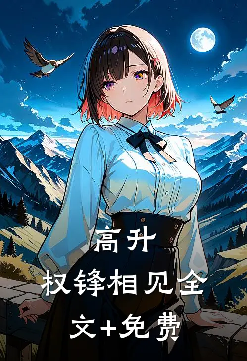 高升：权锋相见全文+免费