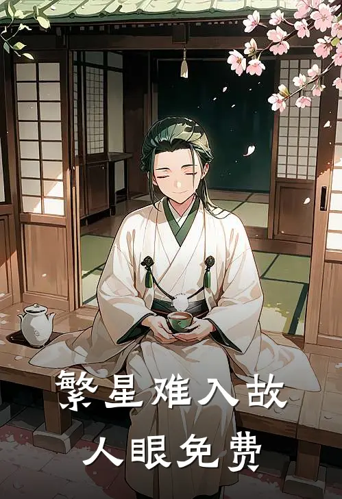 繁星难入故人眼免费