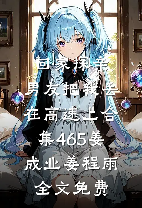 回家探亲，男友把我丢在高速上合集465姜成业姜程雨全文免费