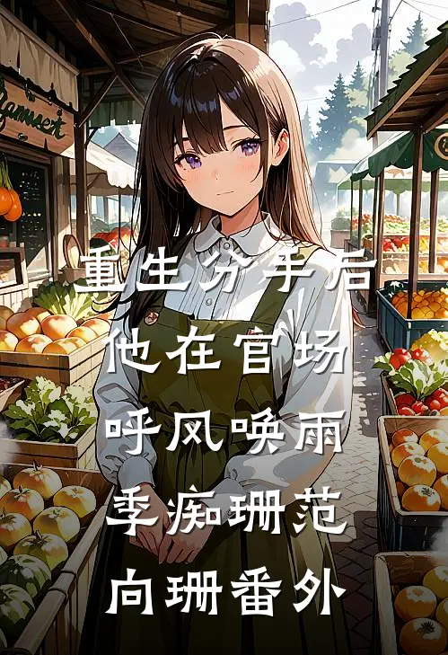 重生分手后，他在官场呼风唤雨季痴珊范向珊番外