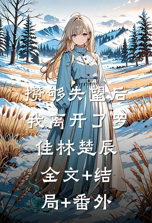 攒够失望后，我离开了罗佳林楚辰:全文+结局+番外