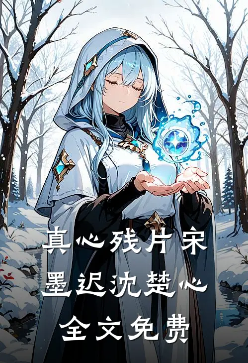 真心残片宋墨迟沈楚心全文免费