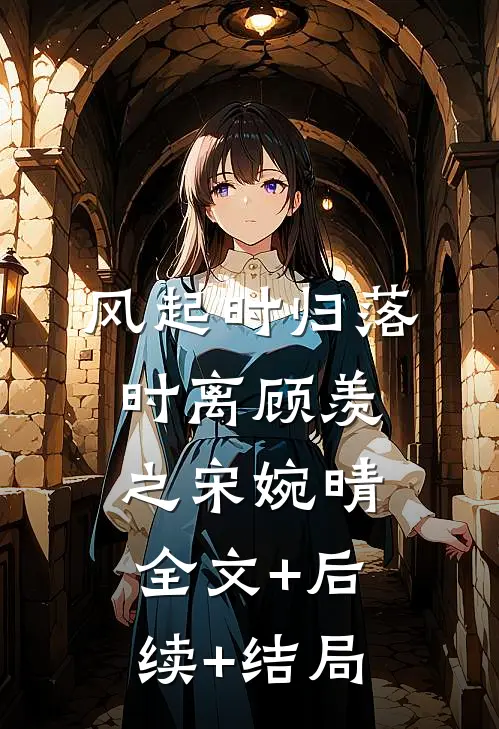 风起时归落时离顾羡之宋婉晴全文+后续+结局