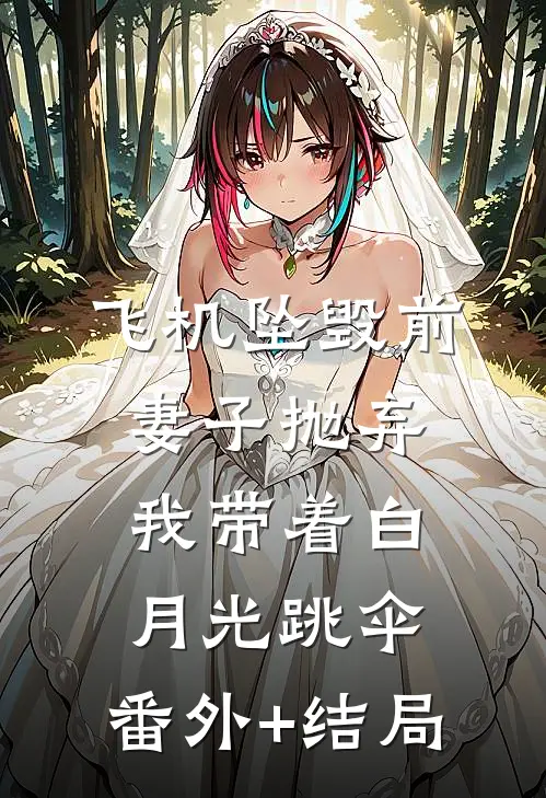 飞机坠毁前，妻子抛弃我带着白月光跳伞:(番外)+(结局)