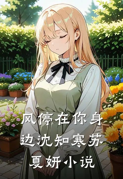 风停在你身边沈知寒苏夏妍小说