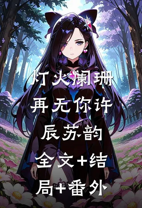灯火阑珊再无你许辰苏韵:全文+结局+番外