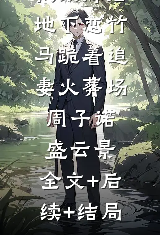 我改嫁后，地下恋竹马跪着追妻火葬场周子诺盛云景:全文+后续+结局