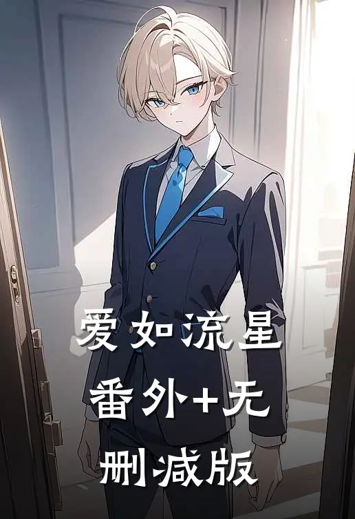 爱如流星:番外+无删减版