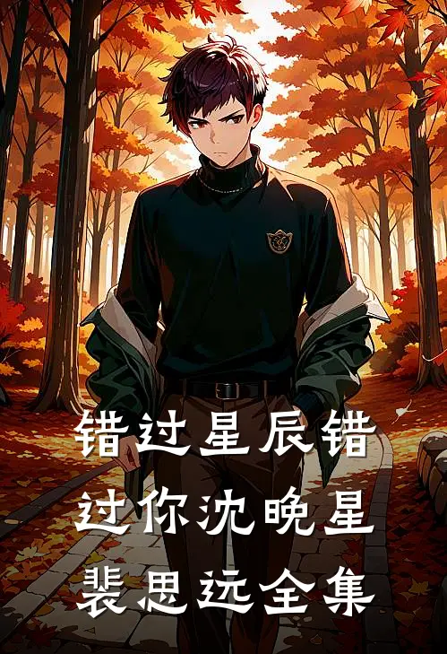 错过星辰错过你沈晚星裴思远全集