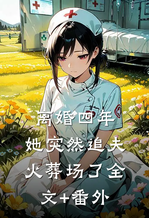 离婚四年，她突然追夫火葬场了全文+番外