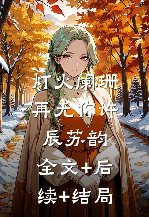 灯火阑珊再无你许辰苏韵:全文+后续+结局