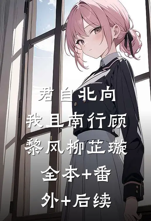 君自北向,我且南行顾黎风柳芷璇:全本+番外+后续