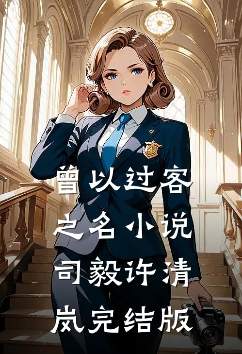 曾以过客之名小说司毅许清岚完结版
