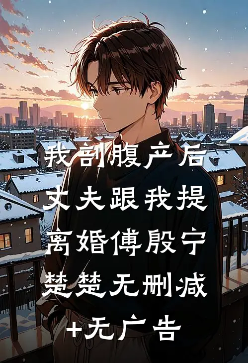 我剖腹产后，丈夫跟我提离婚傅殷宁楚楚无删减+无广告