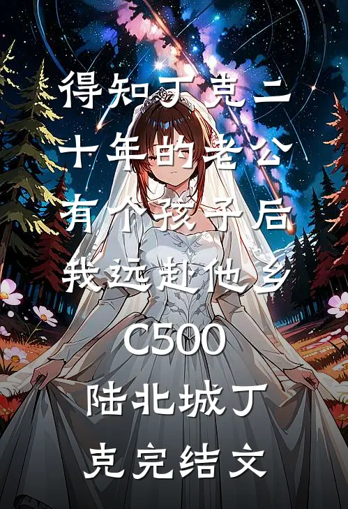 得知丁克二十年的老公有个孩子后，我远赴他乡C500陆北城丁克完结文