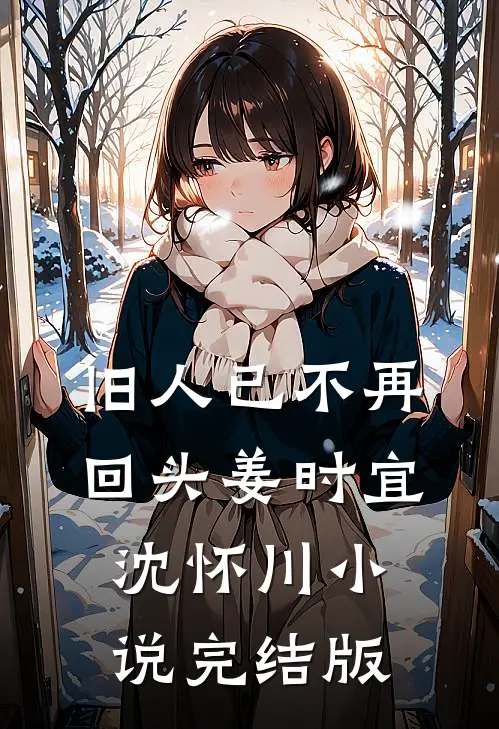 旧人已不再回头姜时宜沈怀川小说完结版