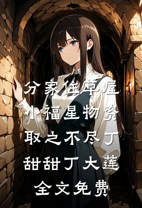 分家住草屋，小福星物资取之不尽丁甜甜丁大莲全文免费