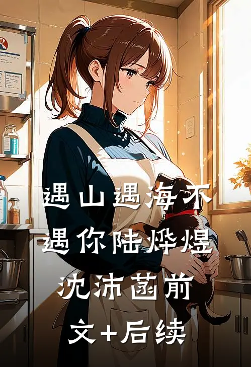 遇山遇海不遇你陆烨煜沈沛菡前文+后续