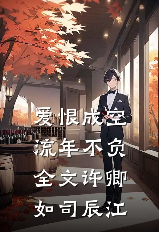 爱恨成空，流年不负全文许卿如司辰江
