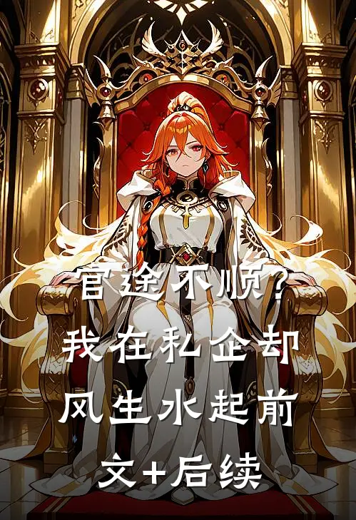官途不顺？我在私企却风生水起前文+后续