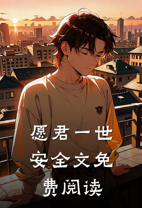 愿君一世安全文免费阅读