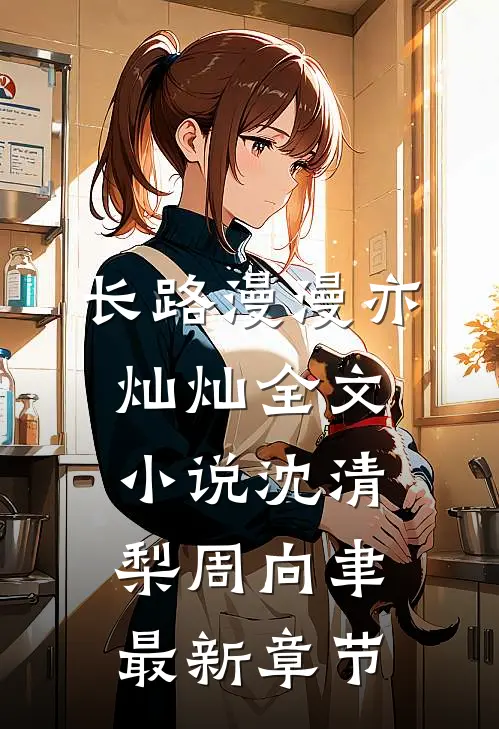 长路漫漫亦灿灿全文小说沈清梨周向聿最新章节