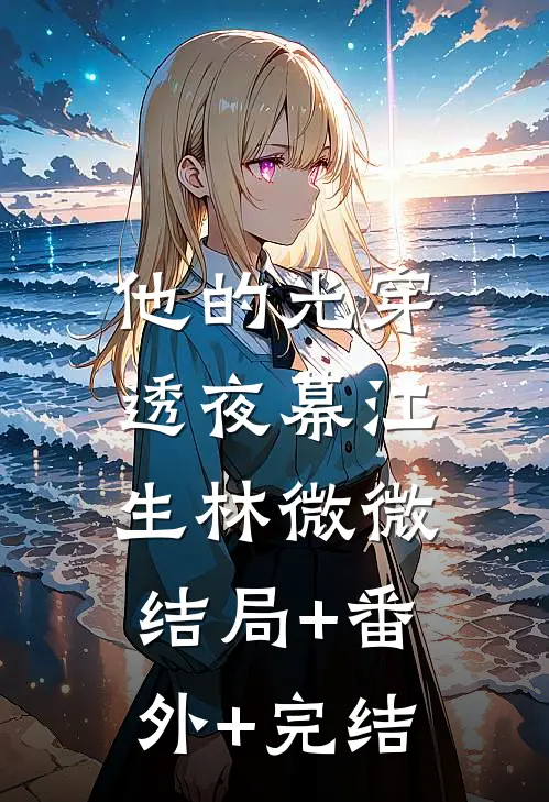 他的光穿透夜幕江生林微微:结局+番外+完结