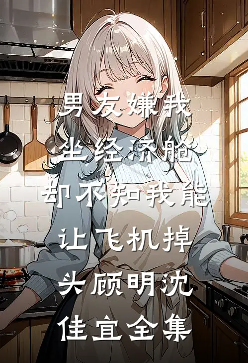 男友嫌我坐经济舱，却不知我能让飞机掉头顾明沈佳宜全集