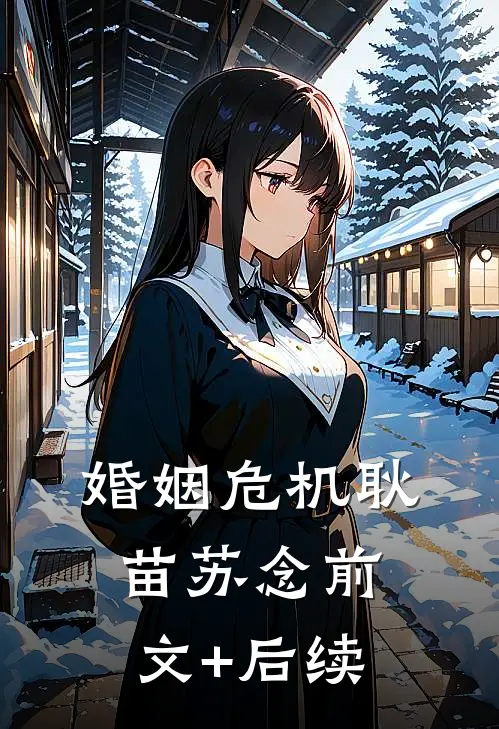 婚姻危机耿苗苏念前文+后续