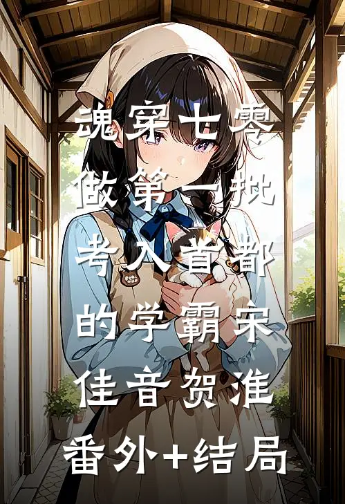 魂穿七零，做第一批考入首都的学霸宋佳音贺淮:(番外)+(结局)