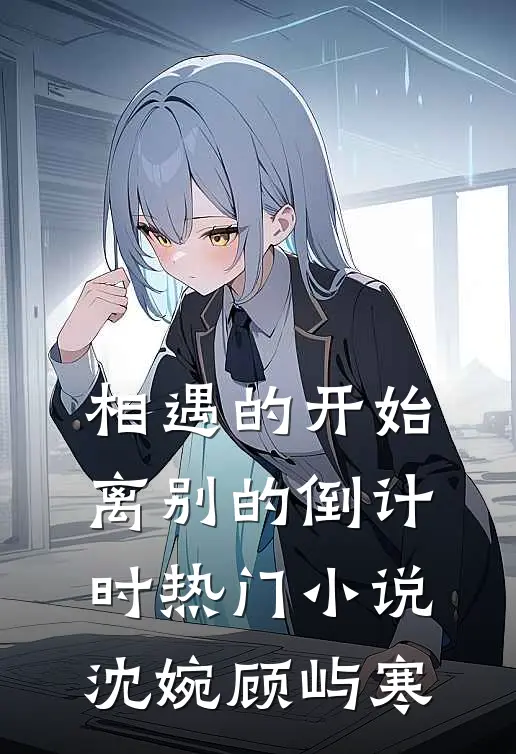 相遇的开始，离别的倒计时热门小说沈婉顾屿寒