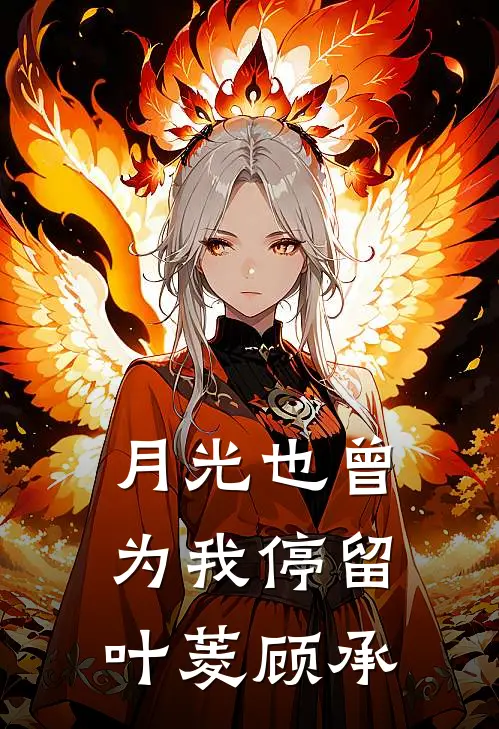 月光也曾为我停留叶菱顾承